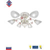 Люстра потолочная с цветами 6 плафонов S2218-6